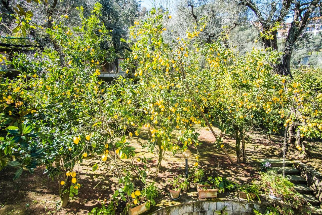Mediterranean House سورينتو المظهر الخارجي الصورة