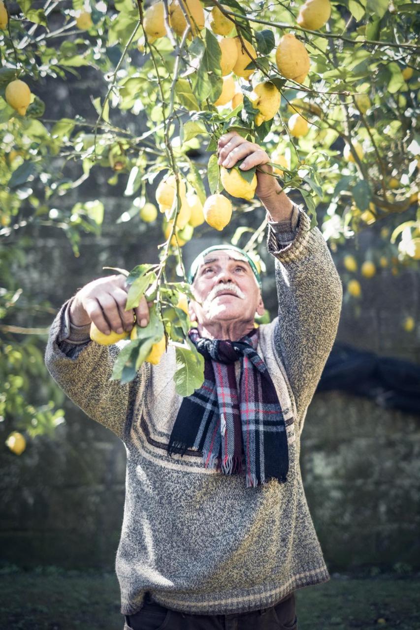 Mediterranean House سورينتو المظهر الخارجي الصورة