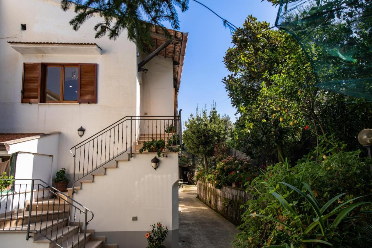 Mediterranean House سورينتو المظهر الخارجي الصورة
